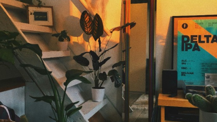 Lorem 6 ipsum ipsum dolor sit amet